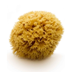 Natural Mediterranean Sea Sponge, 17 cm