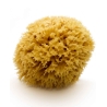 Natural Mediterranean Sea Sponge, 15 cm