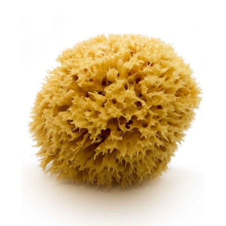 Natural Mediterranean Sea Sponge, 12 cm